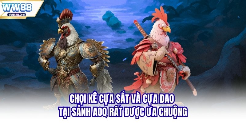 Chọi kê cựa sắt và cựa dao tại sảnh AOQ rất được ưa chuộng