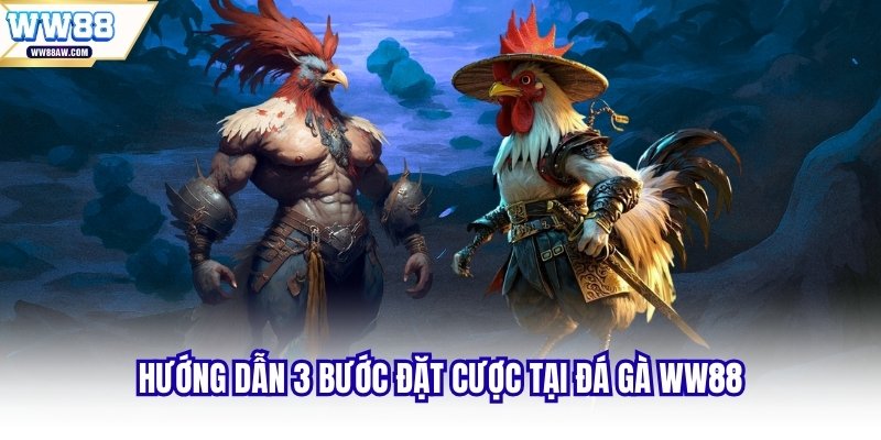 Hướng dẫn 3 bước đặt cược tại đá gà WW88